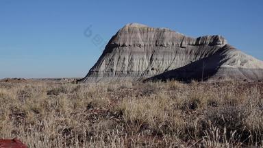树干<strong>石化</strong>树多色的晶体矿物质<strong>石化</strong>森林国家公园亚利桑那州